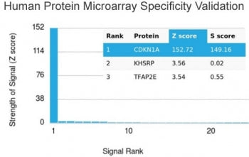 Analysis of HuProt(TM) microarray containing more than 19,000 full-length human proteins using p21 a