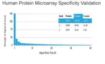 Apolipoprotein D Antibody / APOD