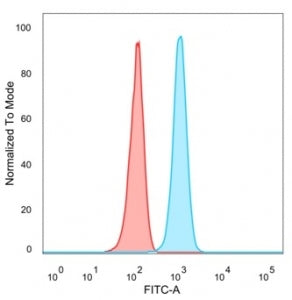 SP100 Antibody