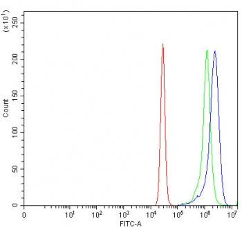 AHCYL1 Antibody / IRBIT