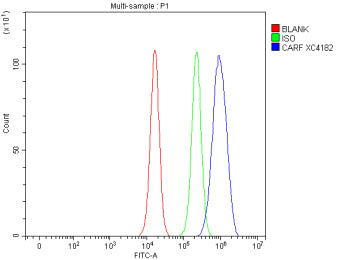 Flow Cytometry analysis of mouse NIH/3T3 cells using anti-Carf antibody. Overlay histogram showing N