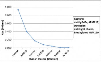 Human IgG4 Fc Antibody