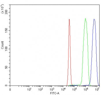 Flow cytometry testing of fixed and permeabilized human SiHa cells with ITCH antibody at 1ug/million