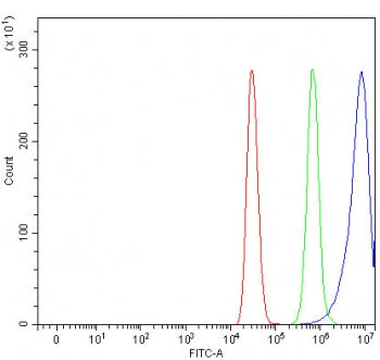 IRBP Antibody / RBP3 / Retinol-binding protein 3