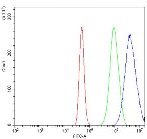 PPP4R1 Antibody / PP4R1