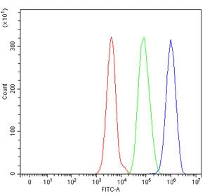 Flow cytometry testing of human HepG2 cells with CAT2 antibody at 1ug/million cells (blocked with go