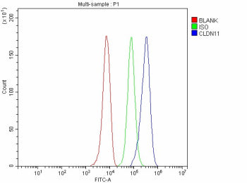 Flow Cytometry analysis of HepG2 cells using anti-CLDN11 antibody. Overlay histogram showing HepG2 c