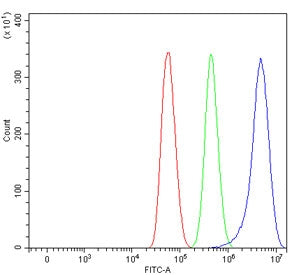 Flow cytometry testing of human U-87 MG cells with SCAMP1 antibody at 1ug/million cells (blocked wit