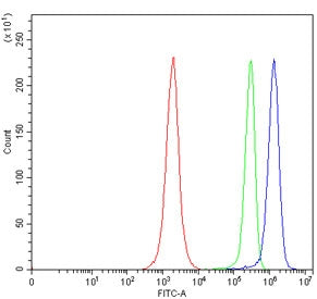 Flow cytometry testing of human JK cells with SLC5A7 antibody at 1ug/million cells (blocked with goa
