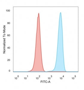 SET Antibody / Protein SET / TAFI