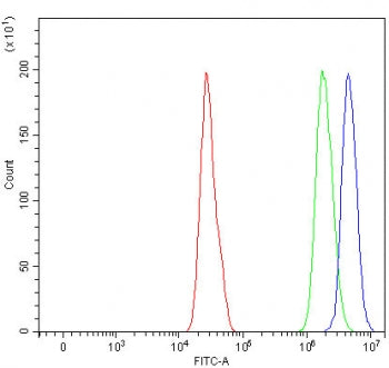 Flow cytometry testing of fixed and permeabilized human RT4 cells with POLR1C antibody at 1ug/millio