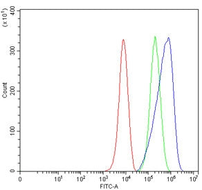 Flow cytometry testing of mouse RAW264.7 cells with Slc3a2 antibody at 1ug/million cells (blocked wi