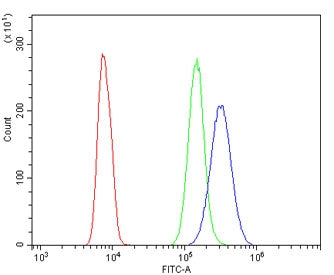 Flow cytometry testing of human HL60 cells with ABCB5 antibody at 1ug/million cells (blocked with go
