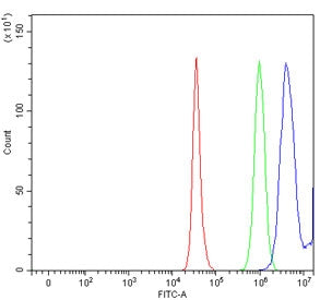 17-beta-HSD 3 Antibody / HSD17B3