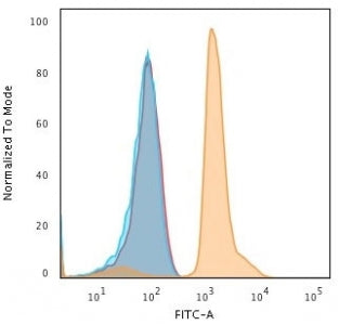 PD-L1 Antibody / B7-H1 / CD274