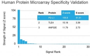 PD-L1 Antibody / B7-H1 / CD274