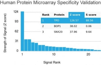 Analysis of HuProt(TM) microarray containing more than 19,000 full-length human proteins using TPO a
