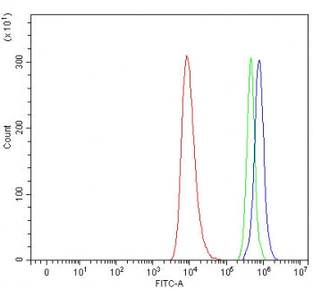 Flow cytometry testing of human HEL cells with SERPINA10 antibody at 1ug/million cells (blocked with