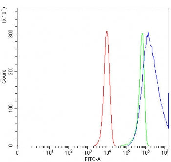 Flow cytometry testing of human HeLa cells with AP-B antibody at 1ug/million cells (blocked with goa