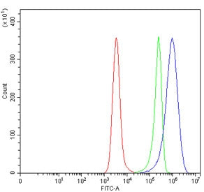 Flow cytometry testing of human Daudi cells with CD10 antibody at 1ug/million cells (blocked with go