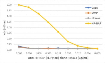 HP-NAP Antibody / H pylori Neutrophil-activating protein