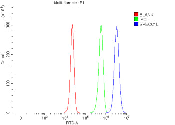 Flow Cytometry analysis of HepG2 cells using anti-SPECC1L antibody. Overlay histogram showing HepG2 