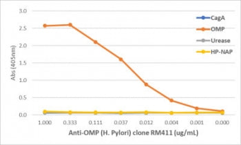 Helicobacter pylori outer membrane protein Antibody / OMP