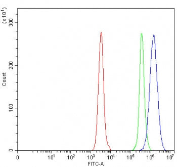 Flow cytometry testing of human Daudi cells with OGDH antibody at 1ug/million cells (blocked with go