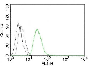Flow analysis of permeablized PC3 cells using ODC-1 antibody (clone ODC1/485, green), isotype contro
