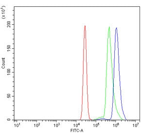 Flow cytometry testing of human U937 cells with DNM2 antibody at 1ug/million cells (blocked with goa