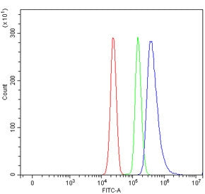 CD150 Antibody / SLAMF1 / SLAM