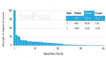 Analysis of a HuProt(TM) microarray containing more than 19,000 full-length human proteins using GCS