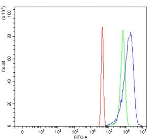 Flow cytometry testing of human SiHa cells with Fibroblast activation protein alpha antibody at 1ug/
