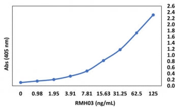 Human Chimeric SARS-CoV-2 Nucleocapsid Protein Antibody (2019-nCov)
