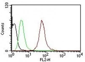 Pan Cytokeratin Antibody Cocktail (Acidic + Basic)