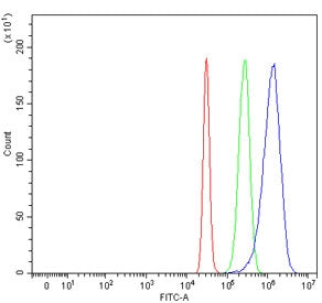 Glypican 3 Antibody