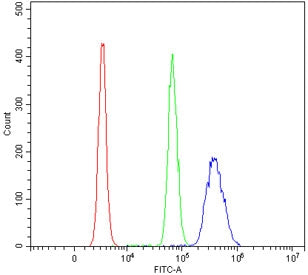 RNF8 Antibody