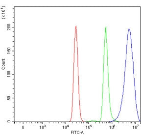 Flow cytometry testing of human U937 cells with Ancient ubiquitous protein 1 antibody at 1ug/million cells (blocked with goat sera); Red=cells alone, Green=isotype control, Blue= Ancient ubiquitous protein 1 antibody.
