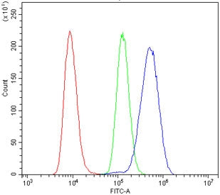IL3RA Antibody / CD123
