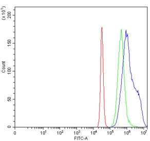Flow cytometry testing of human K562 cells with SEPT5 antibody at 1ug/million cells (blocked with go
