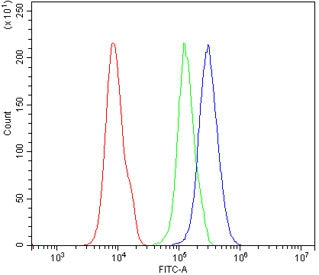 Flow cytometry testing of human 293T cells with PAX1 antibody at 1ug/million cells (blocked with goa