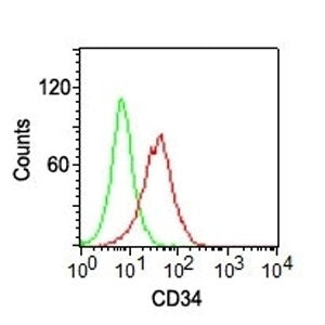 Surface flow cytometric analysis of CD34 on human KG-1 cells using CD34 antibody (clone ICO-115, red