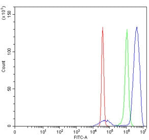 Flow cytometry testing of human SiHa cells with ELK1 antibody at 1ug/million cells (blocked with goa
