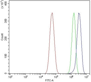 Flow cytometry testing of human U-87 MG cells with CYP3A4 antibody at 1ug/million cells (blocked wit