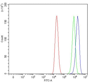 Flow cytometry testing of human Caco-2 cells with Aquaporin 11 antibody at 1ug/million cells (blocke