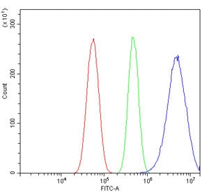 Flow cytometry testing of human U-87 MG cells with RALBP1 antibody at 1ug/million cells (blocked wit