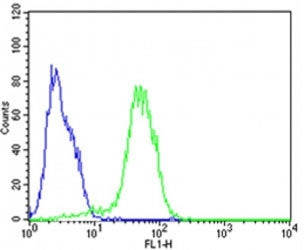 Flow cytometric analysis of HepG2 cells using Epcam antibody (green) compared to an isotype control 