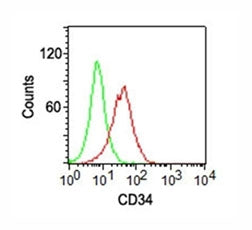 Surface flow cytometric analysis of CD34 on KG-1 cells using CD34 antibody (ICO-115, red) and isotyp