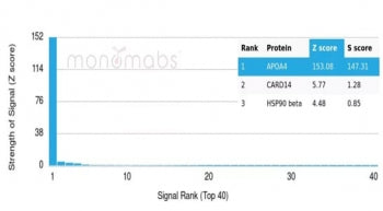 Analysis of HuProt(TM) microarray containing more than 19,000 full-length human proteins using Apoli