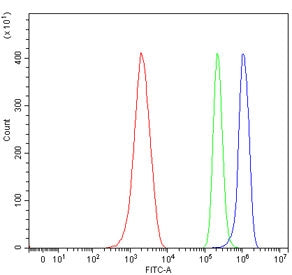 Flow cytometry testing of mouse ANA-1 cells with Ppp1r15a antibody at 1ug/million cells (blocked wit